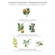 thumbnail image 3 of Perfume Eau De Toilette De Azahar 50 Ml, 3 of 8