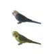 thumbnail image 2 of 2 piezas miniatura animales aves modelo estatuilla estatua Scupltue juguete loro, 2 of 5