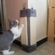 thumbnail image 2 of Rascador Esquinero Protector Sillones Para Gato Mascota gris, 2 of 4