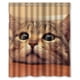 thumbnail image 1 of Cortina de ducha con diseño de gatos y ganchos (60 x 72 pulgadas), 1 of 3