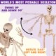 thumbnail image 4 of Esqueleto de Halloween JOYIN, de 5.6 pies, plegable, tamaño natural, con articulaciones, 4 of 9