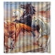 thumbnail image 1 of Cortina de ducha de caballo, juego de cortina de baño con ganchos, tamaño 66 x 72 pulgadas, 1 of 3