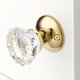 thumbnail image 3 of Roseta para pomo de puerta newliplace 2 unidades, acabado oro pulido, 3 of 4