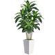 thumbnail image 1 of Ciervo volador artificial con forma de árbol de dracaena de 6 pies con maceta blanca, 1 of 6