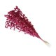 thumbnail image 1 of Falsa Baya Tallos Decoración Simulación Flor Plantas Guirnalda Fiesta Rosa Rojo, 1 of 5