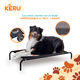 thumbnail image 5 of Cama Refrescante En Altura Para Perros Gatos Elevada, Talla S, 5 of 7