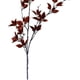 thumbnail image 3 of Rama Decorativa de Eucalipto Rojo 120 Cms., 3 of 4