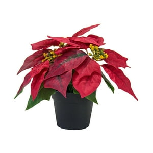 Genérico - Planta De Pascua Artificial Navideña Realista Para Mesa De Ventana De Festival Estilo B
