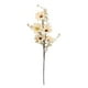 thumbnail image 2 of Regalo De Arreglo Floral De Flor De Margarita Artificial Para Jardín, Oficina, Hogar, Champán, 2 of 3