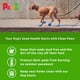thumbnail image 5 of Botas para perros Protex PawZ de goma para todo tipo de clima, impermeables, verdes, 5 of 7