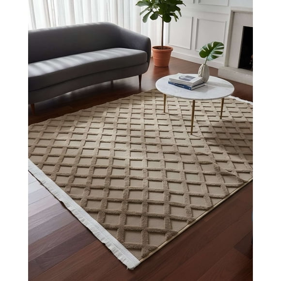 Alfombra Jacquard Texturizada Con Diseño Y Flecos 150x200 Cm