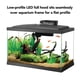 thumbnail image 5 of Kit de inicio para peceras de acuario Aqueon 38 L con iluminación LED, 5 of 9