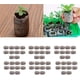 thumbnail image 3 of Bloque de turba biodegradable para iniciar semillas de plantas de jardín y flores - 31 mm marrón, 60 unidades, 3 of 5