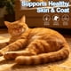 thumbnail image 3 of Gotas Líquidas De Omega 3 Para Gatos 60 Ml, 3 of 7