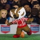 thumbnail image 2 of Figura de peluche Bleacher Creatures Wisconsin Badgers Bucky 10, 2 of 5
