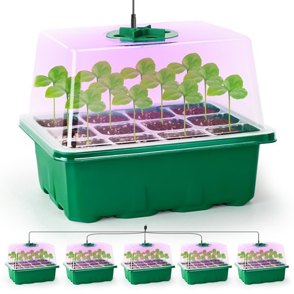 Bandeja Seed Starter Bonviee con lámpara para plantas, 5 paquetes, color verde