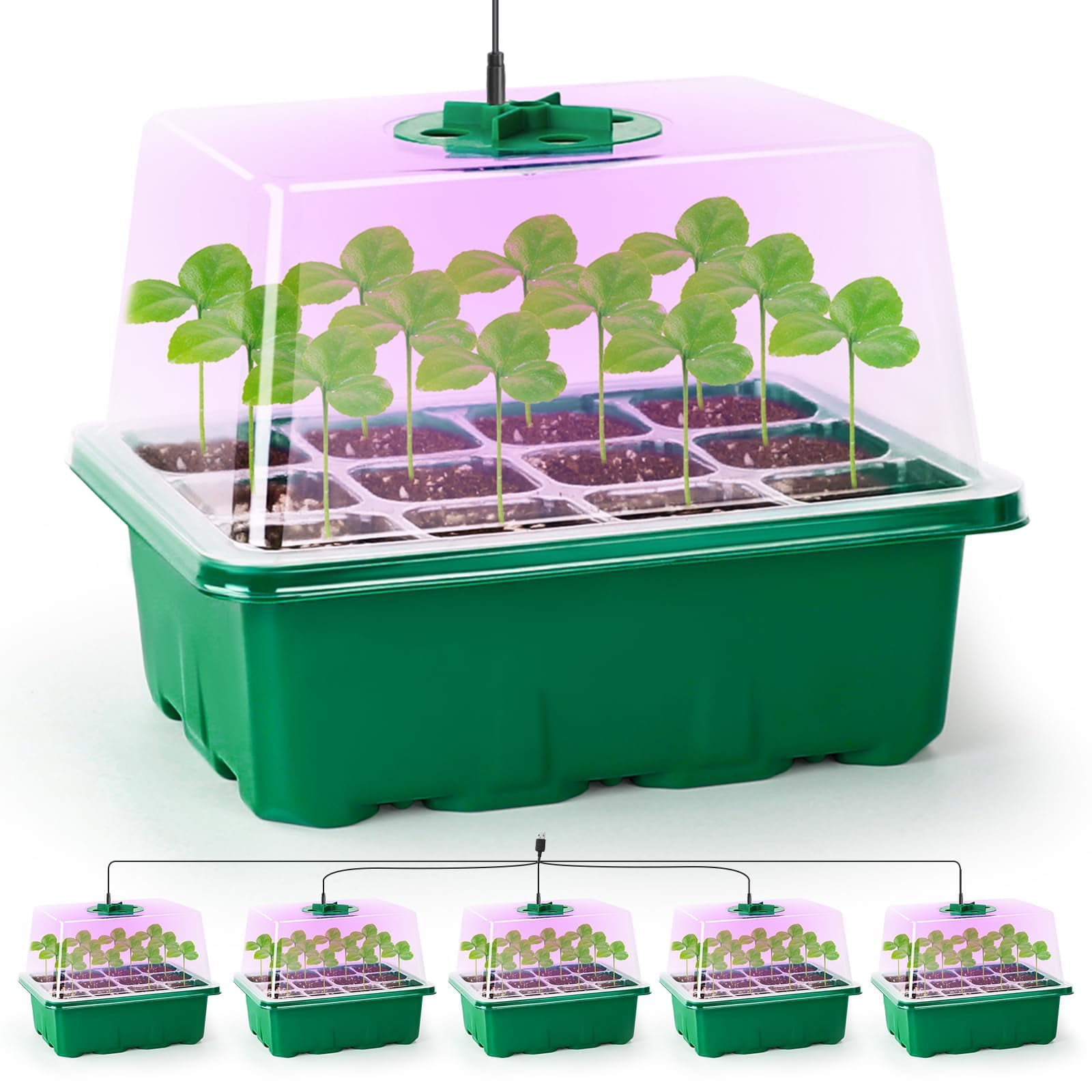 Bandeja Seed Starter Bonviee Con Lámpara Para Plantas, 5 Paquetes, Color Verde