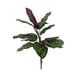 thumbnail image 1 of Ramo Calatea Uv 56cm Artificial, 1 of 3