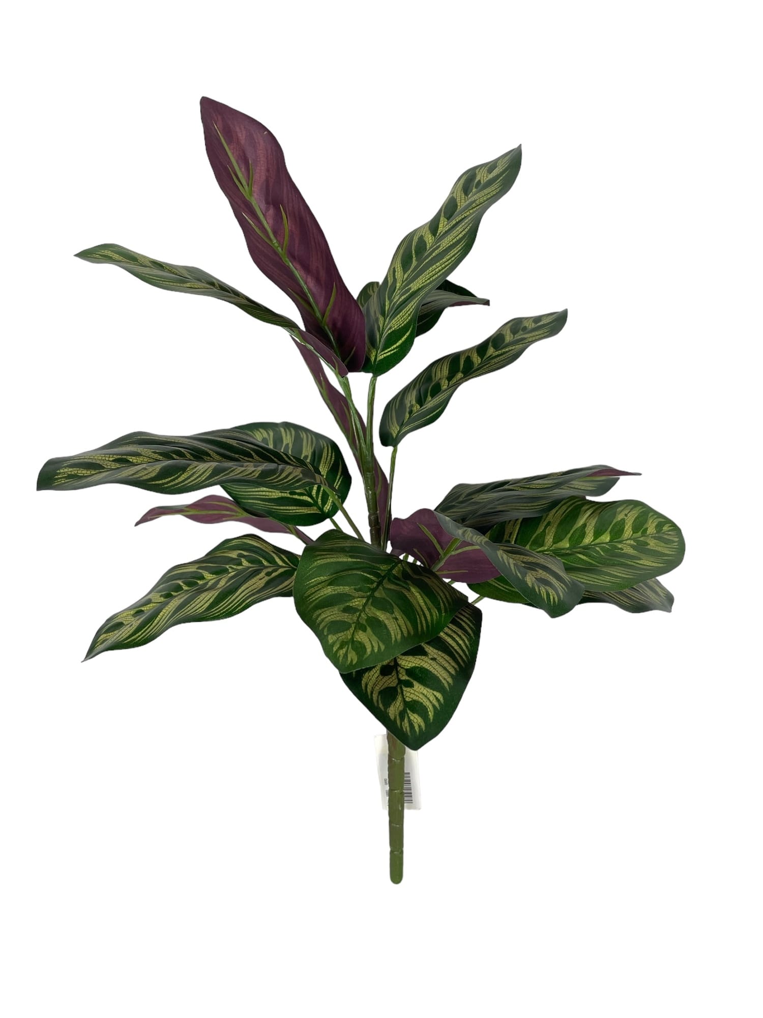 Corel - Ramo Calatea Uv 56Cm Artificial