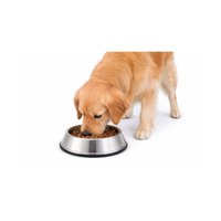 Genérico - Plato Antihormigas Acero Inoxidable Mascotas L 0.9 L