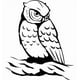 thumbnail image 1 of Decomural Owl Bird WS-19514, 1 of 2