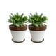 thumbnail image 1 of Set de 2 Maceta Kony 19cm Morena Blanca y sus platos, 1 of 3