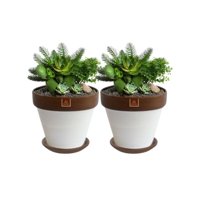 Mestiza - Set De 2 Maceta Kony 19Cm Morena Blanca Y Sus Platos