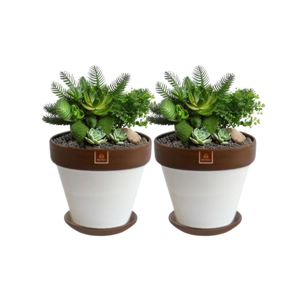 Mestiza New York - Set De 2 Maceta Kony 19cm Morena Blanca Y Sus Platos