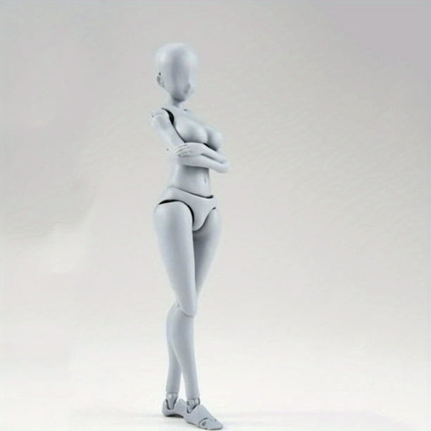 Body-Kun & Body-Chan DX PVC Models: Perfect Gift for Artists & Children Collectors!