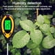 thumbnail image 3 of Medidor digital de humedad del suelo 4 en 1, ideal para medir la temperatura, la humedad, el pH y la intensidad del sol en plantas de jardinería, agricultura y plantas de interior y exterior., 3 of 5