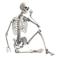 Bothyi - Esqueleto De Halloween Decoración De Halloween Modelo De Esqueleto Para Escena Espeluznante