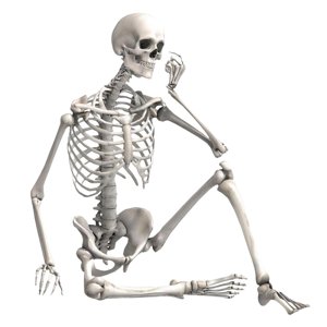 Bothyi - Esqueleto De Halloween Decoración De Halloween Modelo De Esqueleto Para Escena Espeluznante