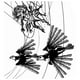 thumbnail image 2 of ABC de las microfábulas blanco, 2 of 2