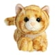 thumbnail image 2 of Animal de peluche Aurora® Adorable Mini Flopsie™ Ginger Cat™, 2 of 4