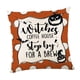 thumbnail image 2 of Funda De Almohada De Halloween Funda De Cojín Suave De Halloween Para Regalo Oficina Vacaciones Estilo B, 2 of 5
