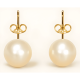 thumbnail image 1 of Aros Perla 10mm Mujer Enchape Oro 18k Clásicos Elegantes, 1 of 3