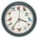 thumbnail image 1 of Reloj de Pájaro Cantor Edición 25º Aniversario Mark Feldstein 20 cm, 1 of 7
