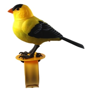 Bothyi - Juguetes Educativos De Música De Pájaro Controlado Con Voz Para Niños Parrot Para Bebés Para Bebés