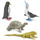 thumbnail image 3 of Set de figuritas Safari Ltd. Galapagos Wildlife TOOB Kids 3+, 3 of 7