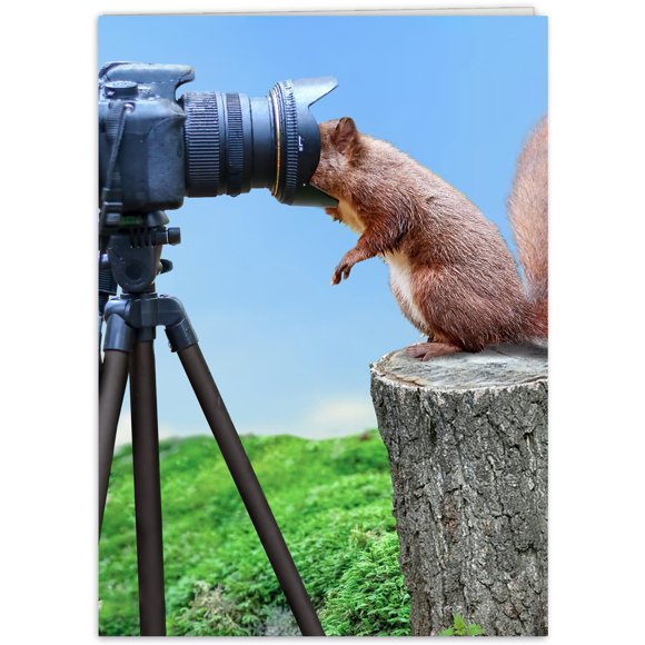 Tarjeta de cumpleaños divertida para ella, él, amiga, compañero de trabajo, hermana o cualquier persona que adore fotos de animales graciosos