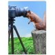thumbnail image 1 of Tarjeta de cumpleaños divertida para ella, él, amiga, compañero de trabajo, hermana o cualquier persona que adore fotos de animales graciosos, 1 of 5