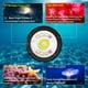 thumbnail image 2 of Luz de buceo Wurkkos DL08 3600LM submarina IPX8, 2 of 9