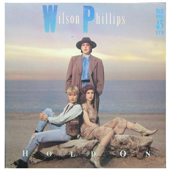 Wilson Phillips Hold On 12 Maxi Single Usado