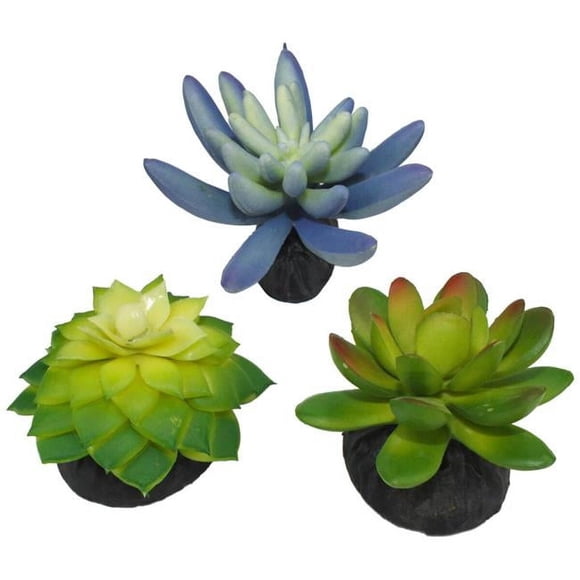 Planta Suculenta Komodo de PVC Pequeña, 3 in, Pack de 3 para Acuario