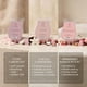 thumbnail image 4 of Cápsulas de cera Scentsy Everyday Cozy – Set de 3 barras (236 g), 4 of 7