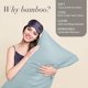thumbnail image 2 of Set de 2 fundas de almohada BEDELITE tamaño queen, color azul rayón y bambú, 2 of 7