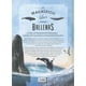 thumbnail image 5 of El magnífico libro de las ballenas, 5 of 7