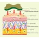 thumbnail image 4 of Parche Para Rodilla De Artemisa Herbal Con Efecto Calor 48 Piezas, 4 of 5