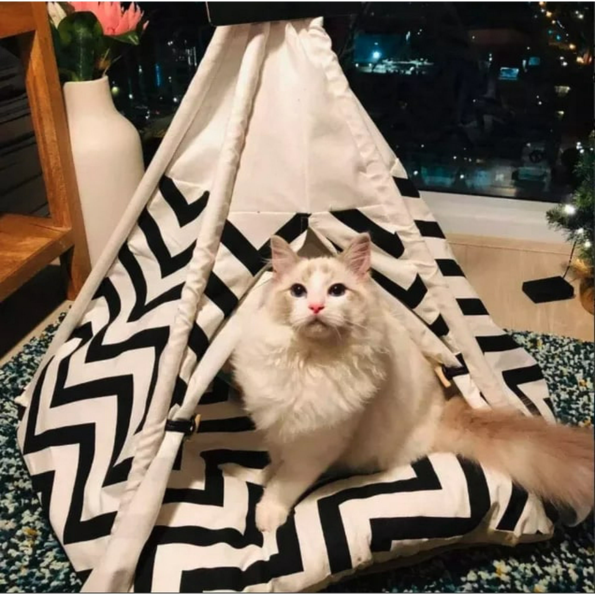 Genérico - Tienda De Campaña Tipi Mascotas Perros Cama Gatos