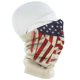 thumbnail image 4 of Mascarilla facial BENCHMARK FR Bandera americana Beige CAT2, 4 of 7